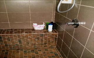 Basement 2 Bathroom Shower 3 Link